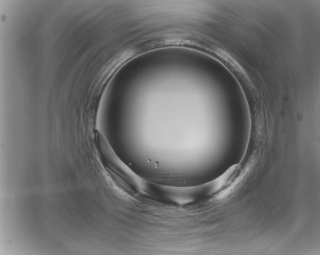 X0000065980801200603061213