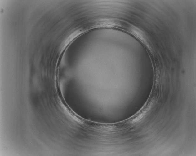 X0000065980802200603061213