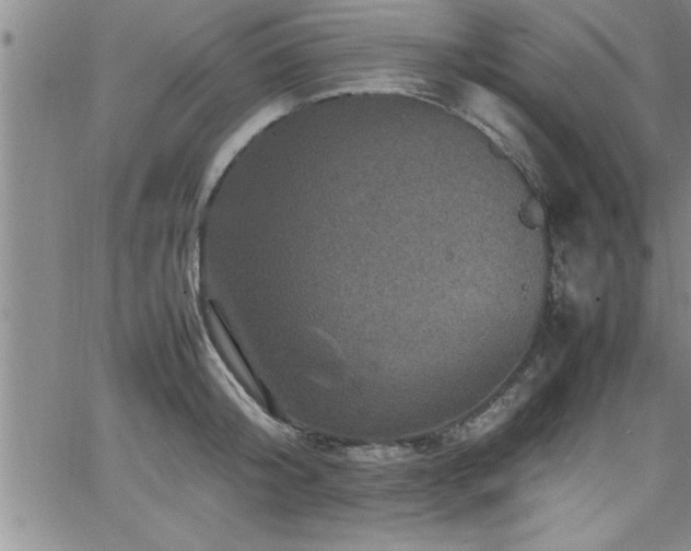 X0000065980804200603061213