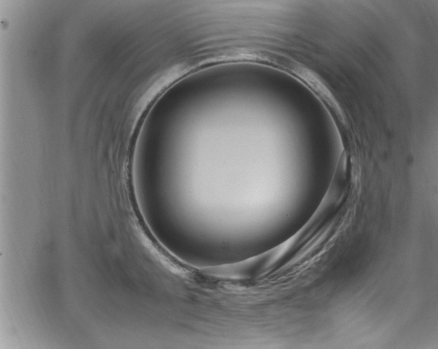 X0000065980805200603061213