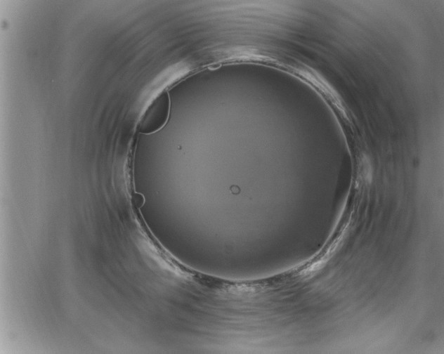 X0000065980806200603061213