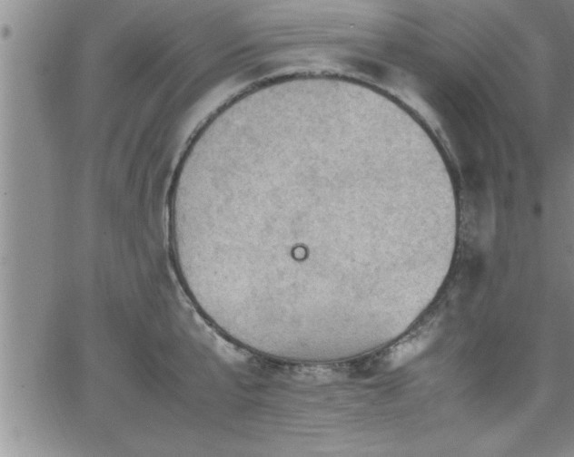 X0000065980807200603061213