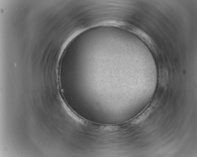 X0000065980808200603061213