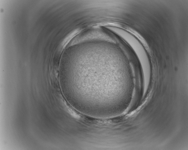 X0000065980809200603061213