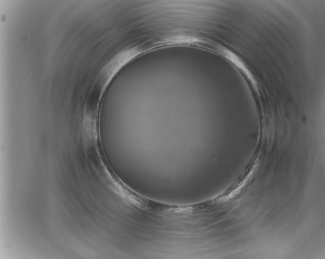 X0000065980810200603061213