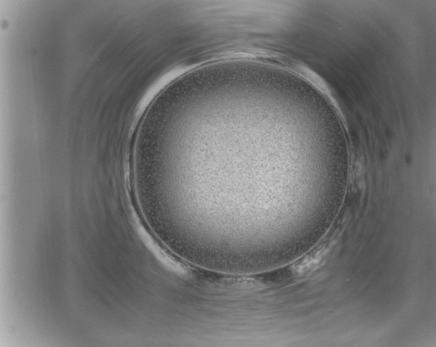 X0000065980811200603061213