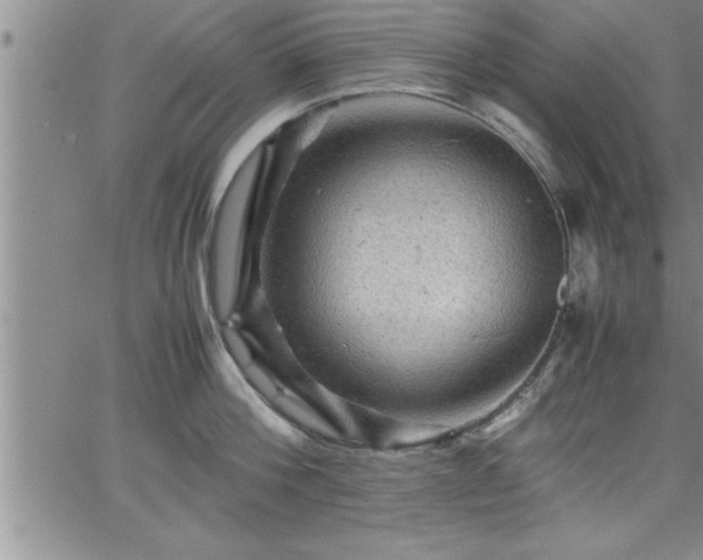 X0000065980812200603061213