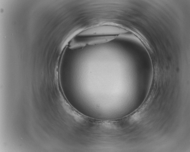 X0000065980814200603061213