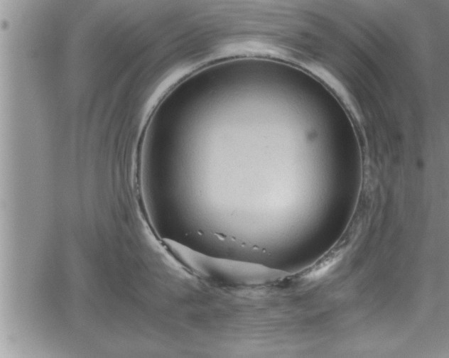 X0000065980815200603061213