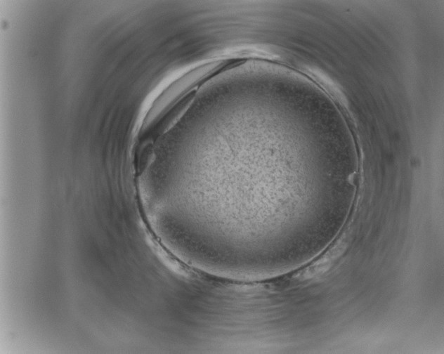 X0000065980816200603061213