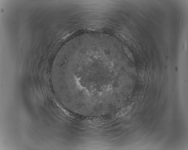 X0000065980817200603061212