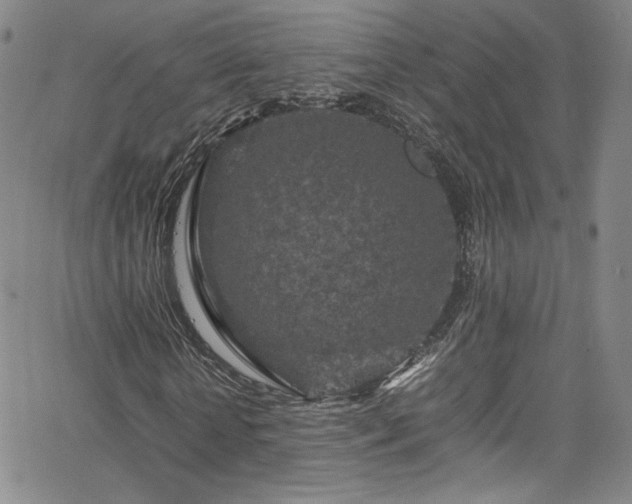 X0000065980818200603061212