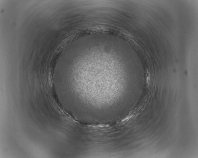 X0000065980819200603061212