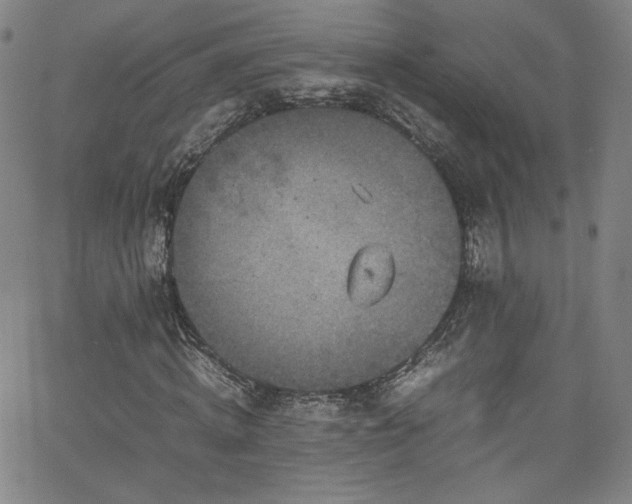 X0000065980820200603061212