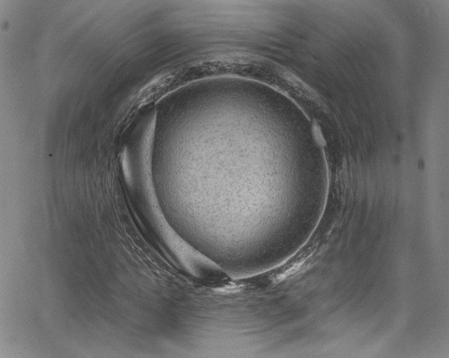 X0000065980822200603061212