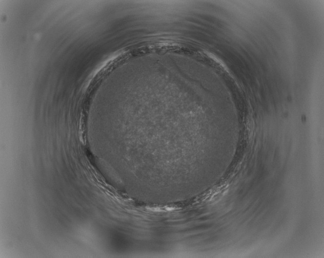 X0000065980823200603061212