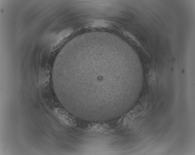 X0000065980824200603061212