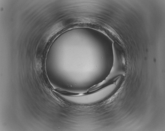 X0000065980826200603061212