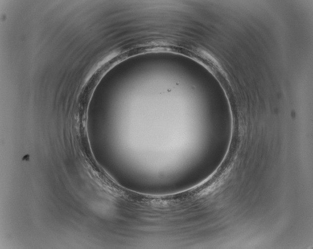 X0000065980827200603061212