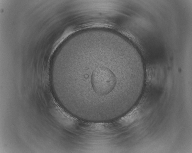 X0000065980828200603061212