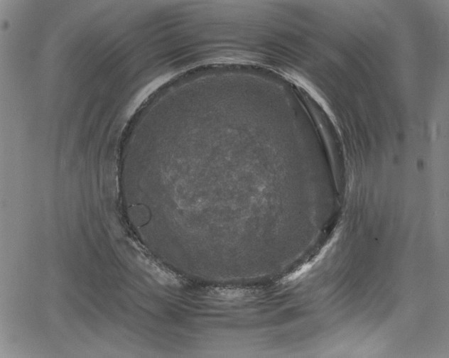 X0000065980829200603061212