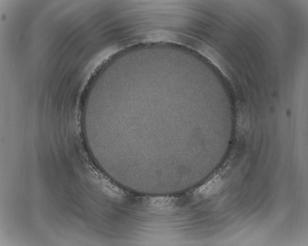 X0000065980832200603061212