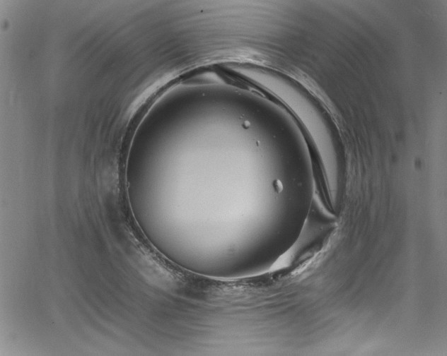 X0000065980834200603061212