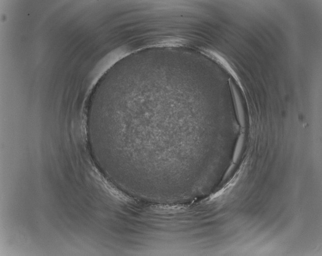 X0000065980835200603061212