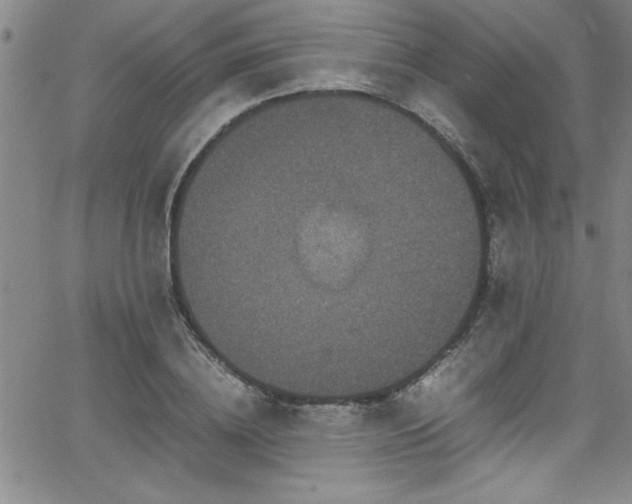 X0000065980836200603061212