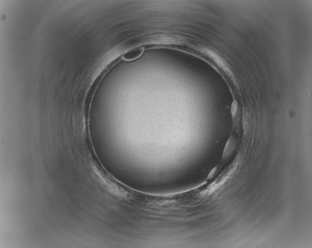 X0000065980837200603061212