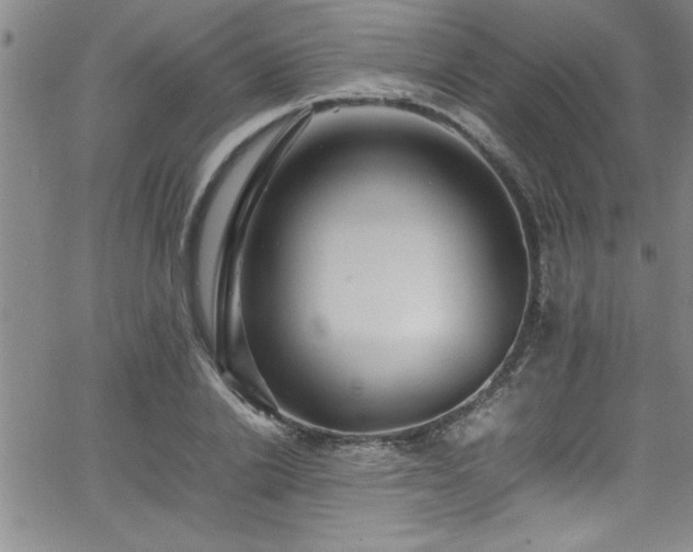 X0000065980838200603061212