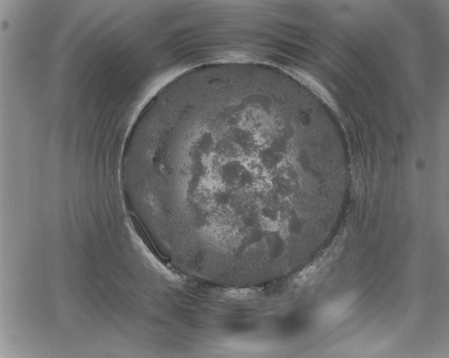 X0000065980839200603061212