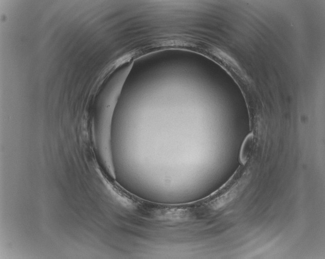 X0000065980841200603061212