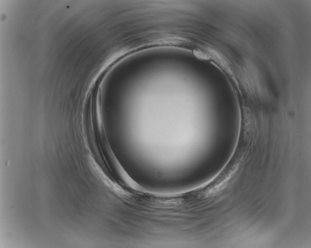 X0000065980843200603061212