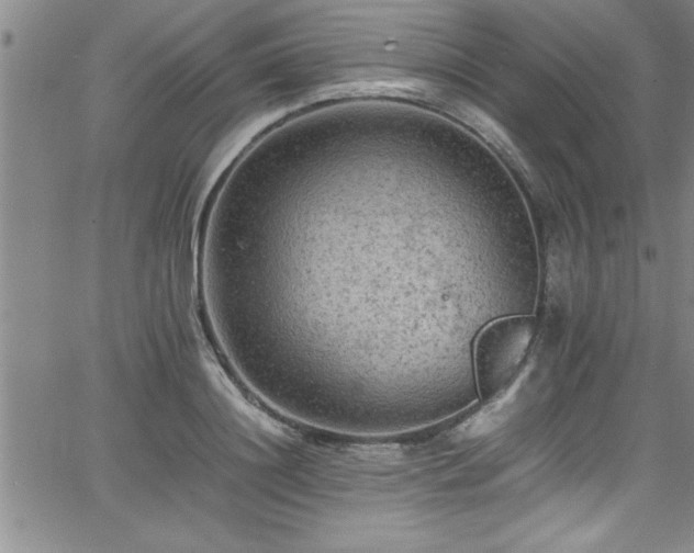 X0000065980844200603061212