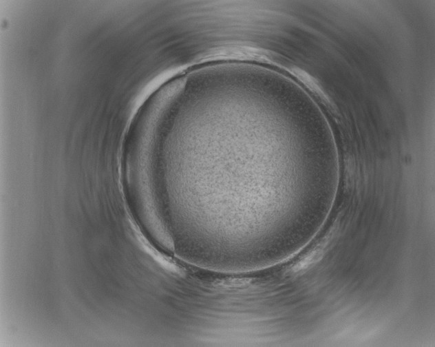 X0000065980846200603061212