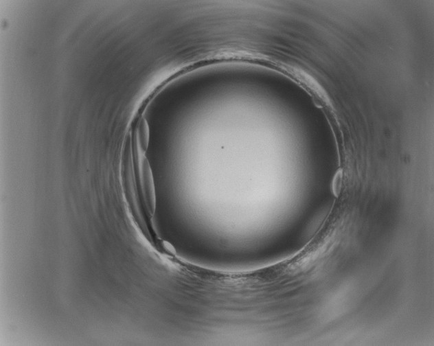 X0000065980847200603061212