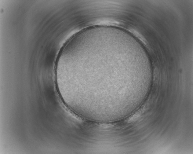 X0000065980848200603061212