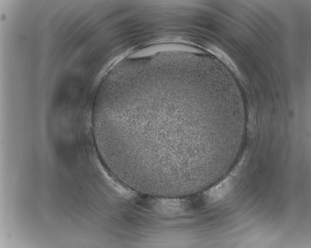 X0000065980849200603061212