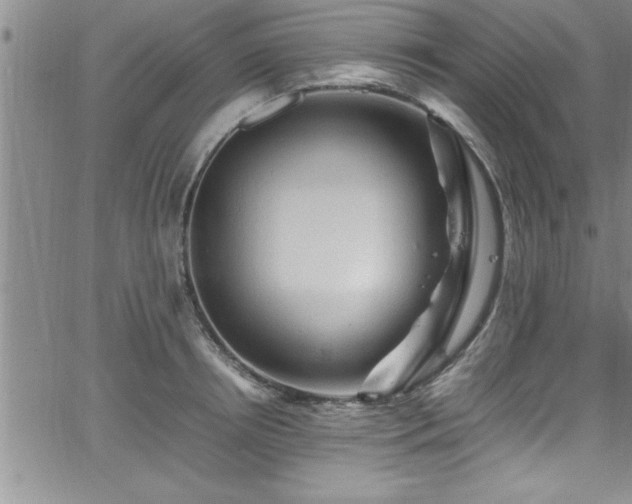 X0000065980850200603061212