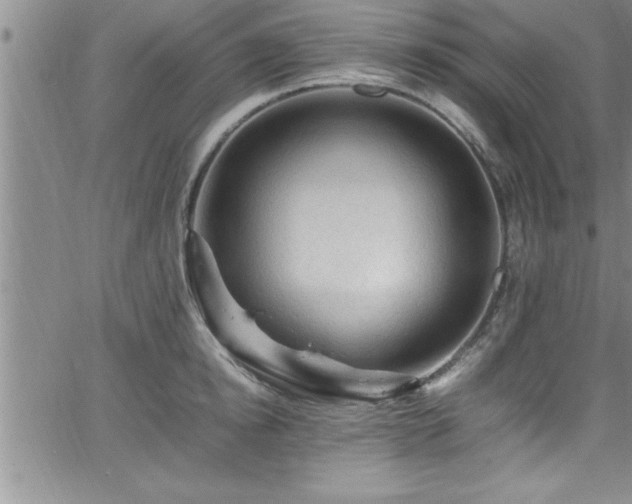 X0000065980854200603061212