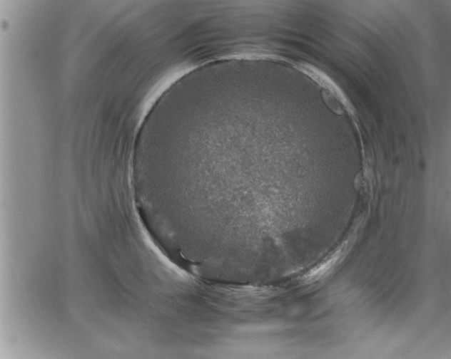 X0000065980855200603061213