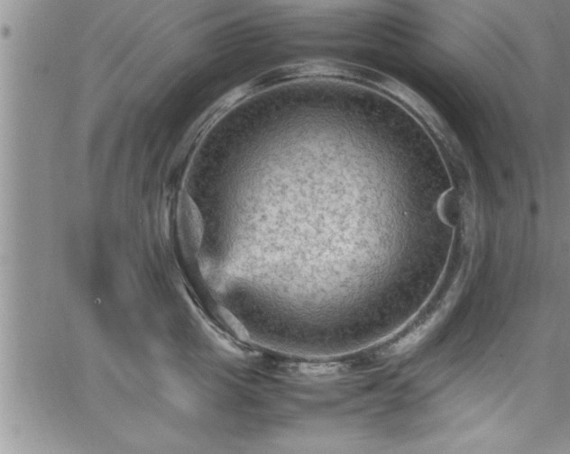 X0000065980857200603061213