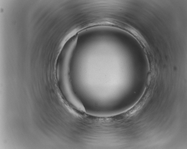 X0000065980858200603061213