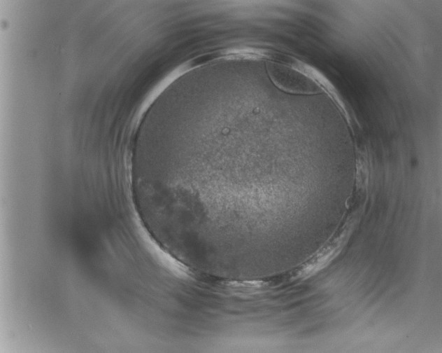 X0000065980859200603061213