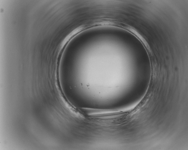 X0000065980861200603061213