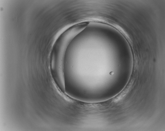 X0000065980862200603061213