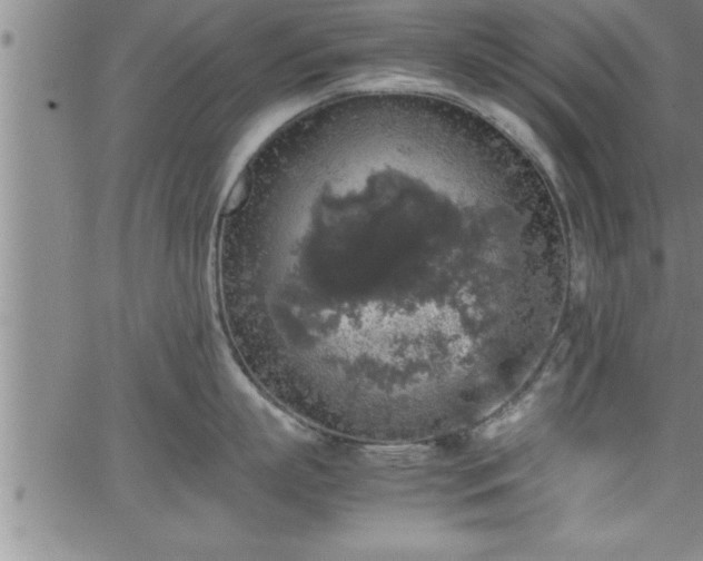 X0000065980863200603061213