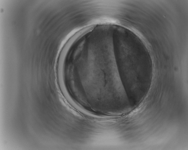 X0000065980864200603061213