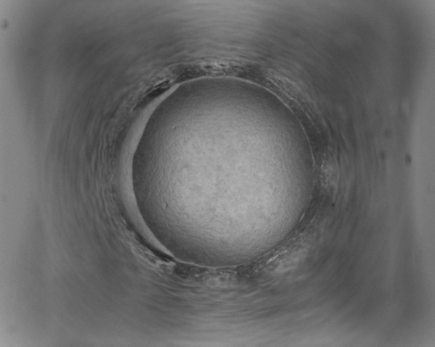 X0000065980865200603061212